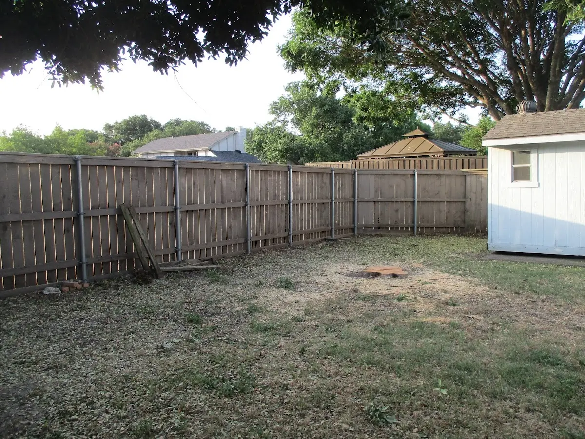 Cleared yard after professional tree removal in Stockdale